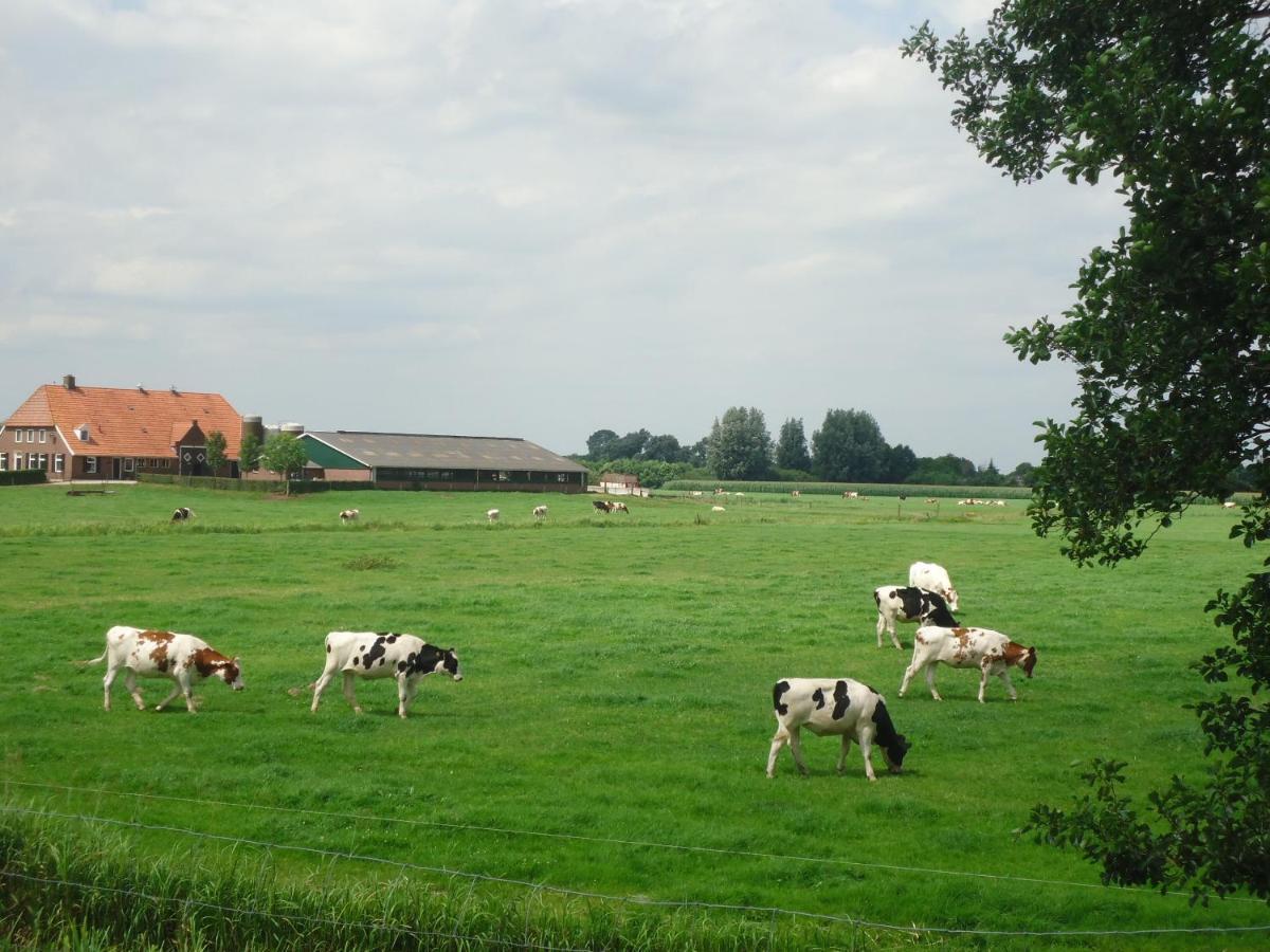 Bed and Breakfast Klein Vreugderijk Zwolle  Exterior foto